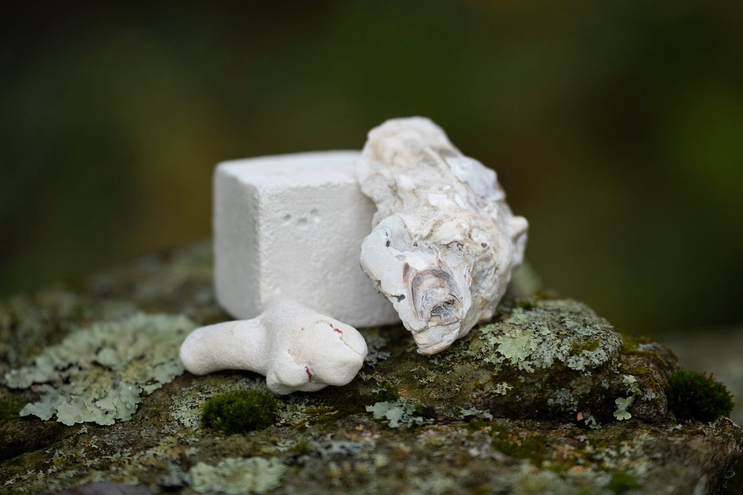 Enzymatic cement (cement that is grown, not mined) by ReefCycle. A carbon-neutral, marine-safe alternative inspired by shell formation via biomineralization. 