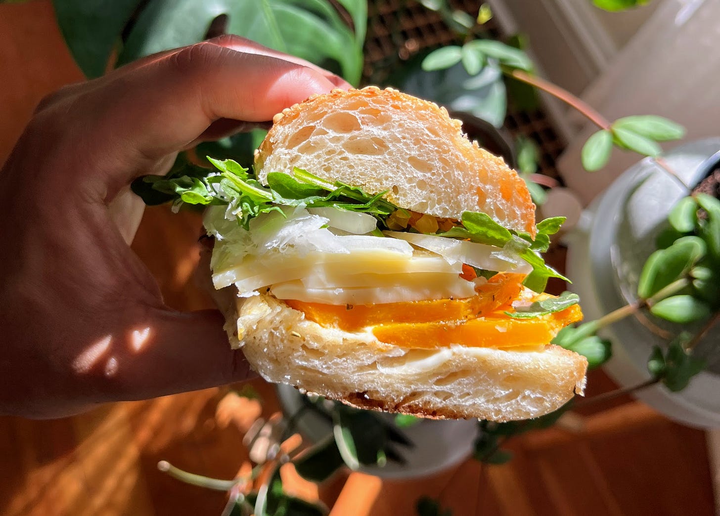 Hand holding vegitalian sandwich