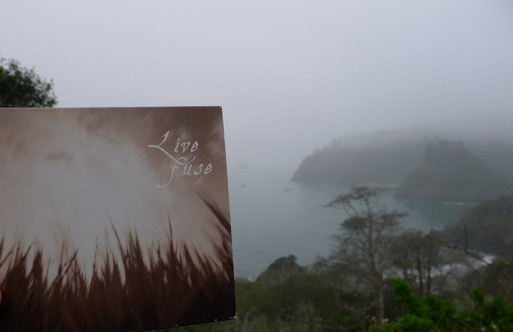 album image