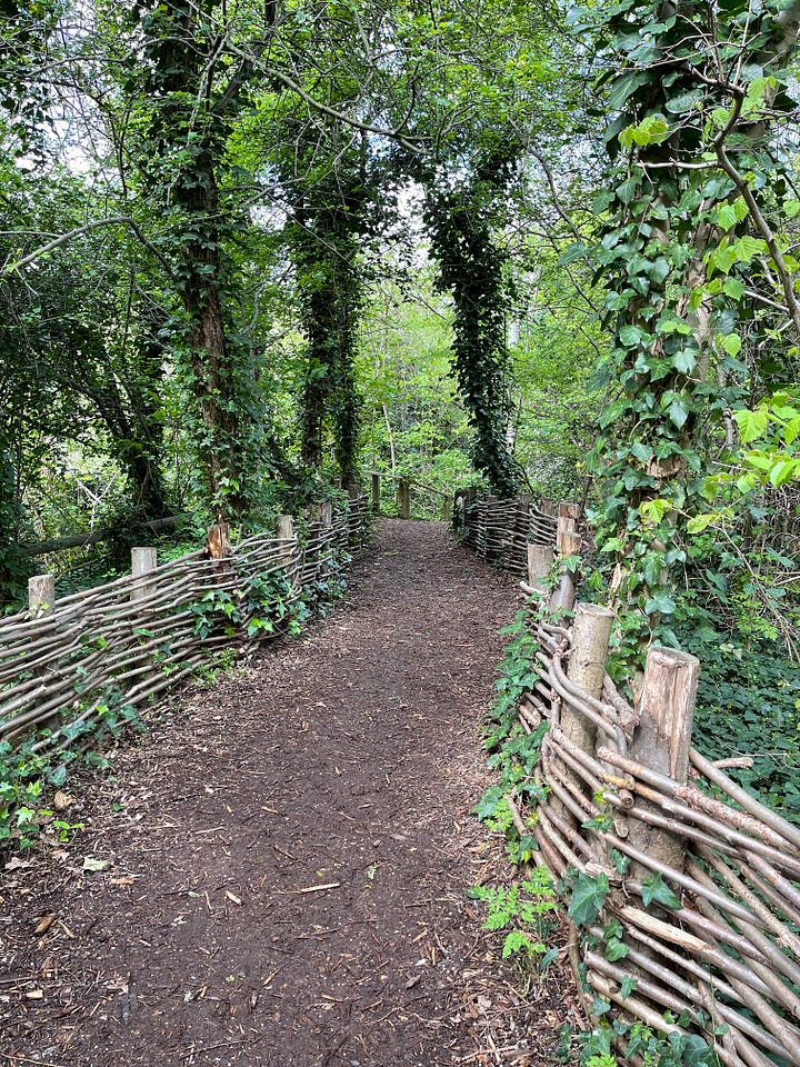 A map of the park on a grey and red sign; a meandering path lined with ivy covered trees and a short knee-high fence made of thin branches, woven; a pond with the blue sky and clouds reflected in it surrounded by green and brown reeds and some bare deciduous trees; a close up of small white lillies with green stems