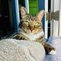 CathlinS's avatar