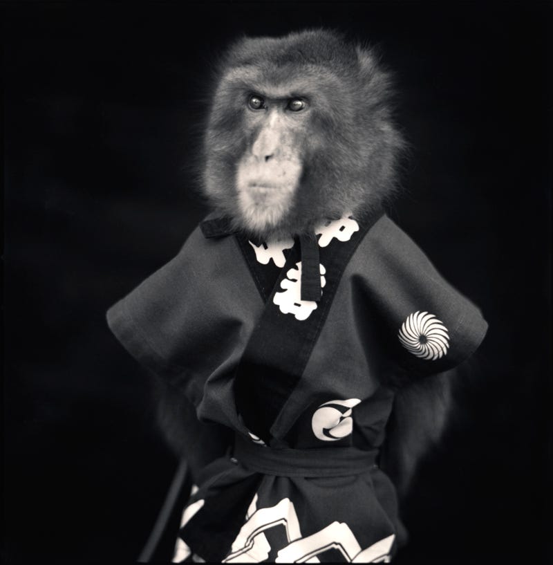 Substack profile picture for @baloney