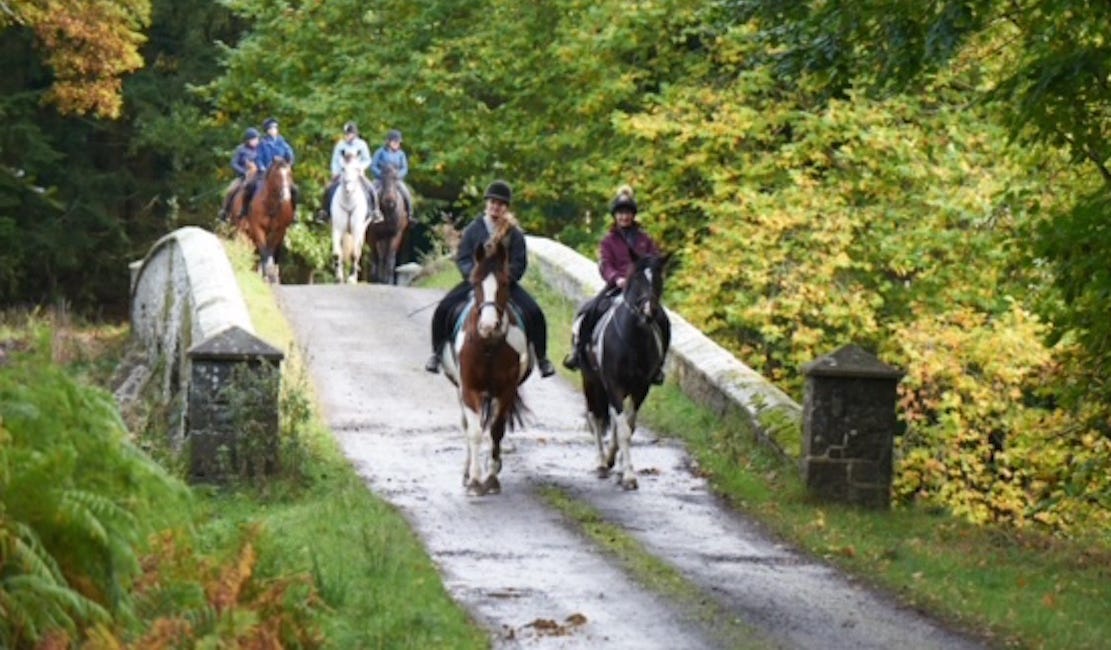 RDA Pleasure Hack at Shane's Castle