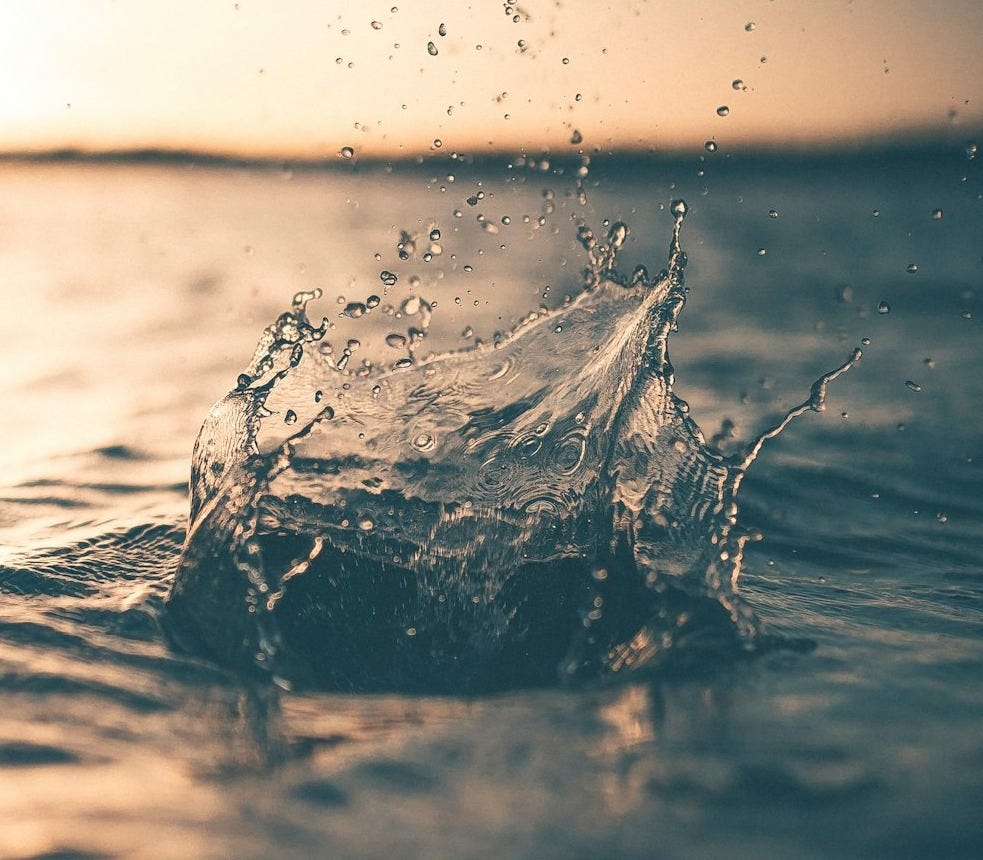 selective focus photography of water splash
