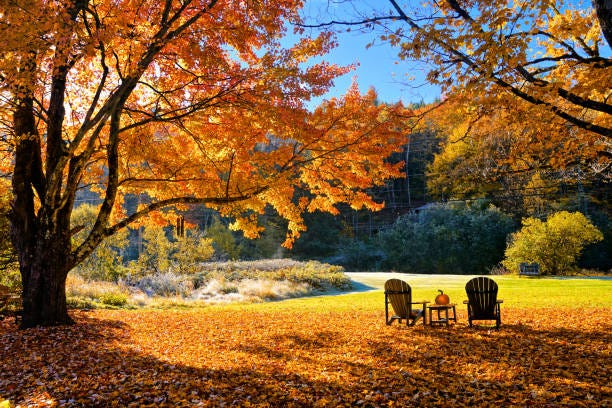 8,523,300+ Fall Colors Stock Photos, Pictures & Royalty-Free ...