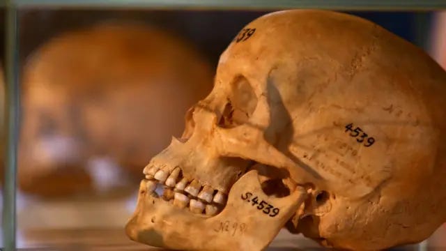 Germany returns skulls of Namibian genocide victims