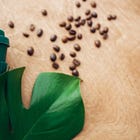 🍎 Food for Thought: 24th August 2023 