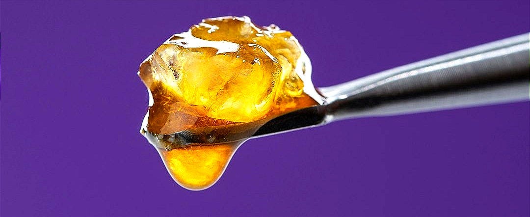 a drop of liquid is being held by a needleThis image shows a close-up of a metal dab tool holding a golden, translucent cannabis concentrate against a solid purple background. The sticky extract appears thick and glossy, with a slightly crystalline texture in the center, often referred to as "live resin" or "terp sugar" in cannabis culture. a drop of liquid is being held by a needleThis image shows a close-up of a metal dab tool holding a golden, translucent cannabis concentrate against a solid purple background. The sticky extract appears thick and glossy, with a slightly crystalline texture in the center, often referred to as "live resin" or "terp sugar" in cannabis culture.