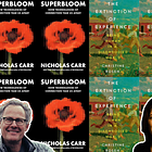 Is the Lack of ‘Friction’ in Our Virtual World Leading to Liberalism’s Decline?