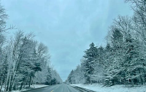 Nature (snowy road, Venice in the summer), and pets (German shepherd and grey cat)