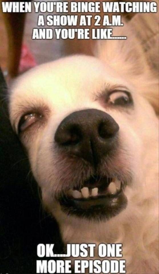May be an image of television and text that says 'WHEN YOU'RE BINGE WATCHING A SHOW AT 2 A.M. AND YOU'RE LIKE..... ΟΚ... OK...JUST JUST ONE MORE EPISODE'