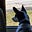 Carline Content's avatar