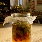 Friday ferment \#36: Rhubarb, Thyme & Honey ferment