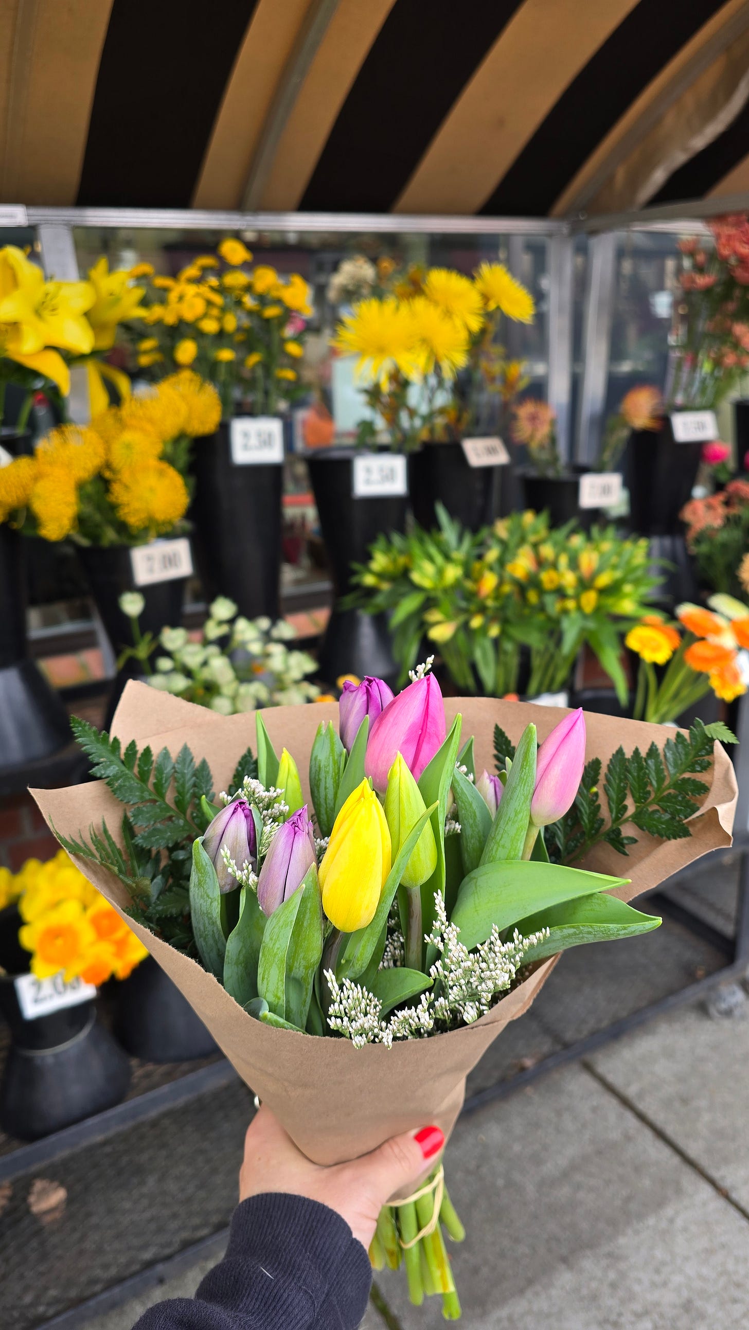 Cassidy's hand holding a bouquet of purple, yellow, and pink tulips, in front of containers of a variety of other flowers