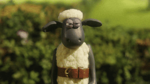 Gif of Shaun the Sheep rolling up his sleeve with a determined look
