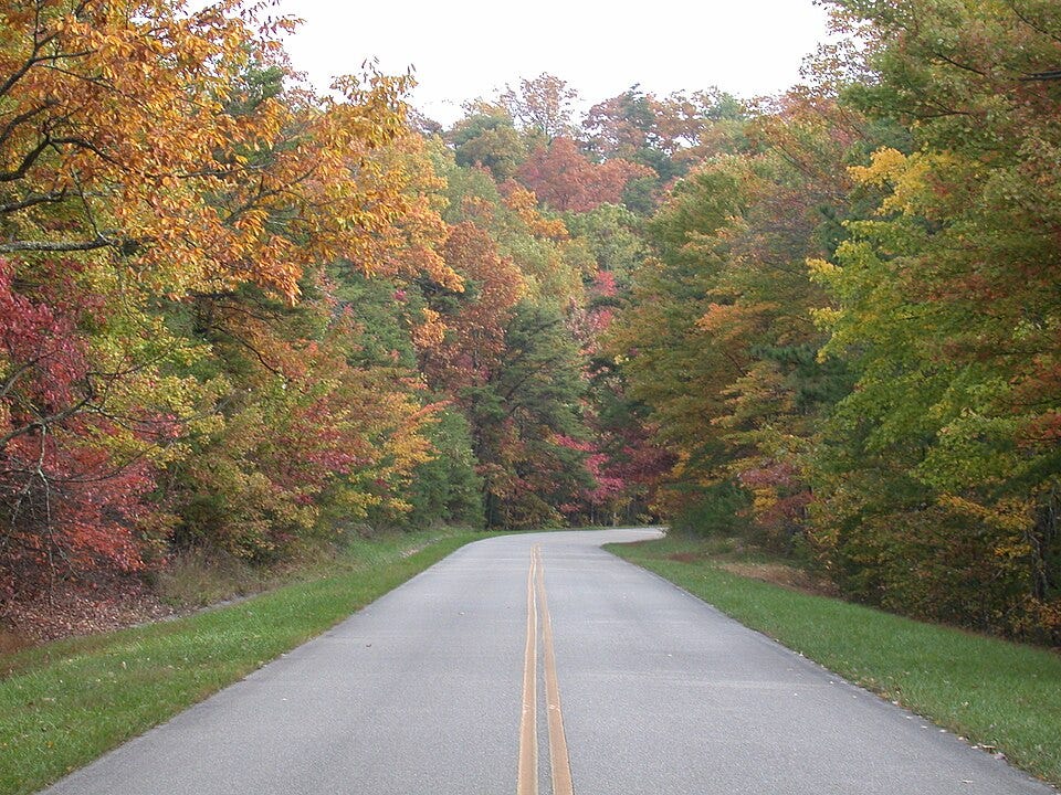 A winding two-lane road along the Blue Ridge Parkway framed by tall trees and colorful fall foliage.