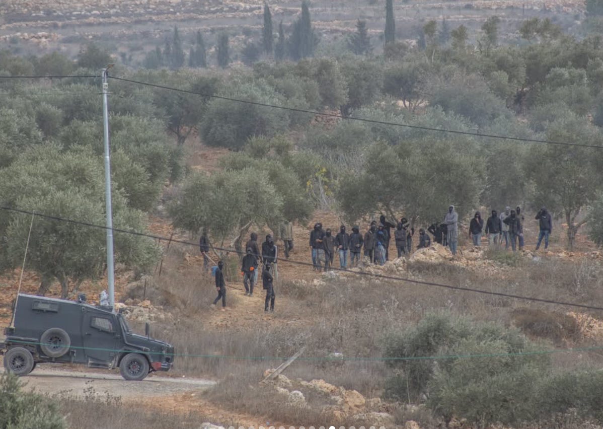 Stack Lev The Palestinians Who Rescued Heidi Levine