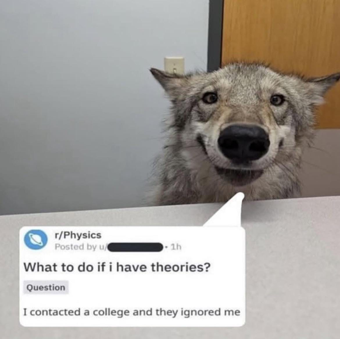 Theory crafting : r/physicsmemes