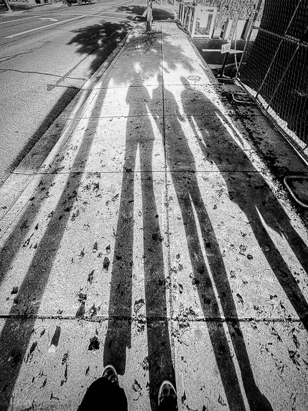 My Everyday Life Week 46 of 2025- Tracy Benjamin of Shutterbean.com My Everyday Life Week 46 of 2025- Tracy Benjamin of Shutterbean.com