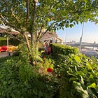Le Jardin Cheval Blanc