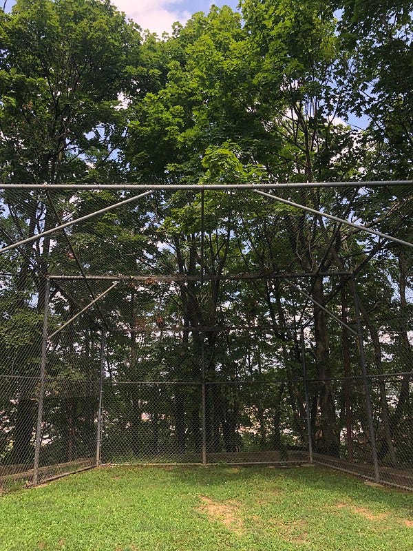 Home plate with trees in the background.