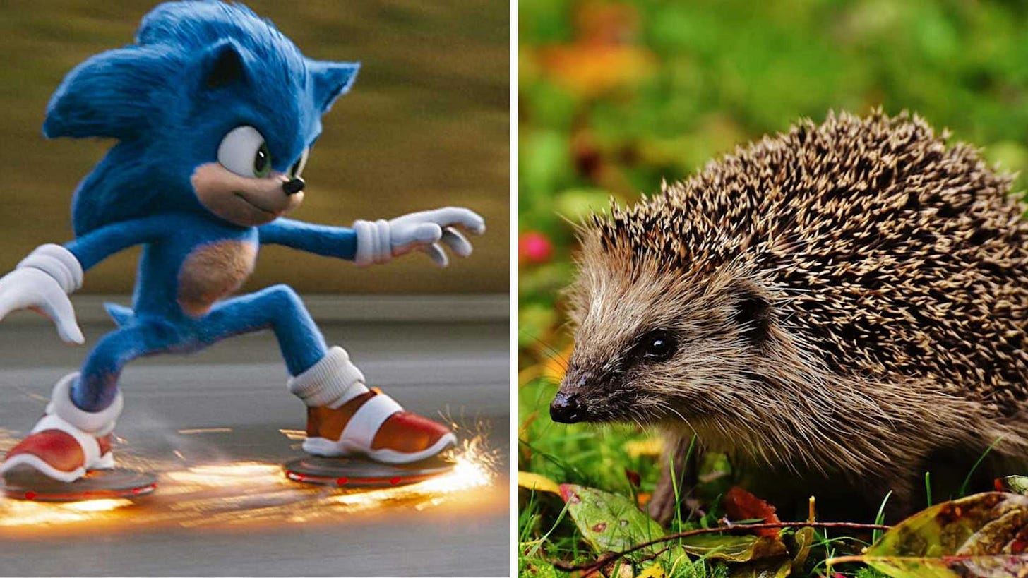 How Realistic Are Sonic The Hedgehog Characters? How Realistic Are Sonic The Hedgehog Characters?