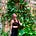 In Pursuit of Wellness's avatar