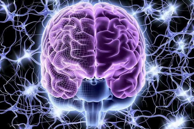 What You Need to Know About the Nervous System What You Need to Know About the Nervous System