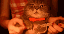 a cat wearing a red bow tie is holding a small guitar . a cat wearing a red bow tie is holding a small guitar .