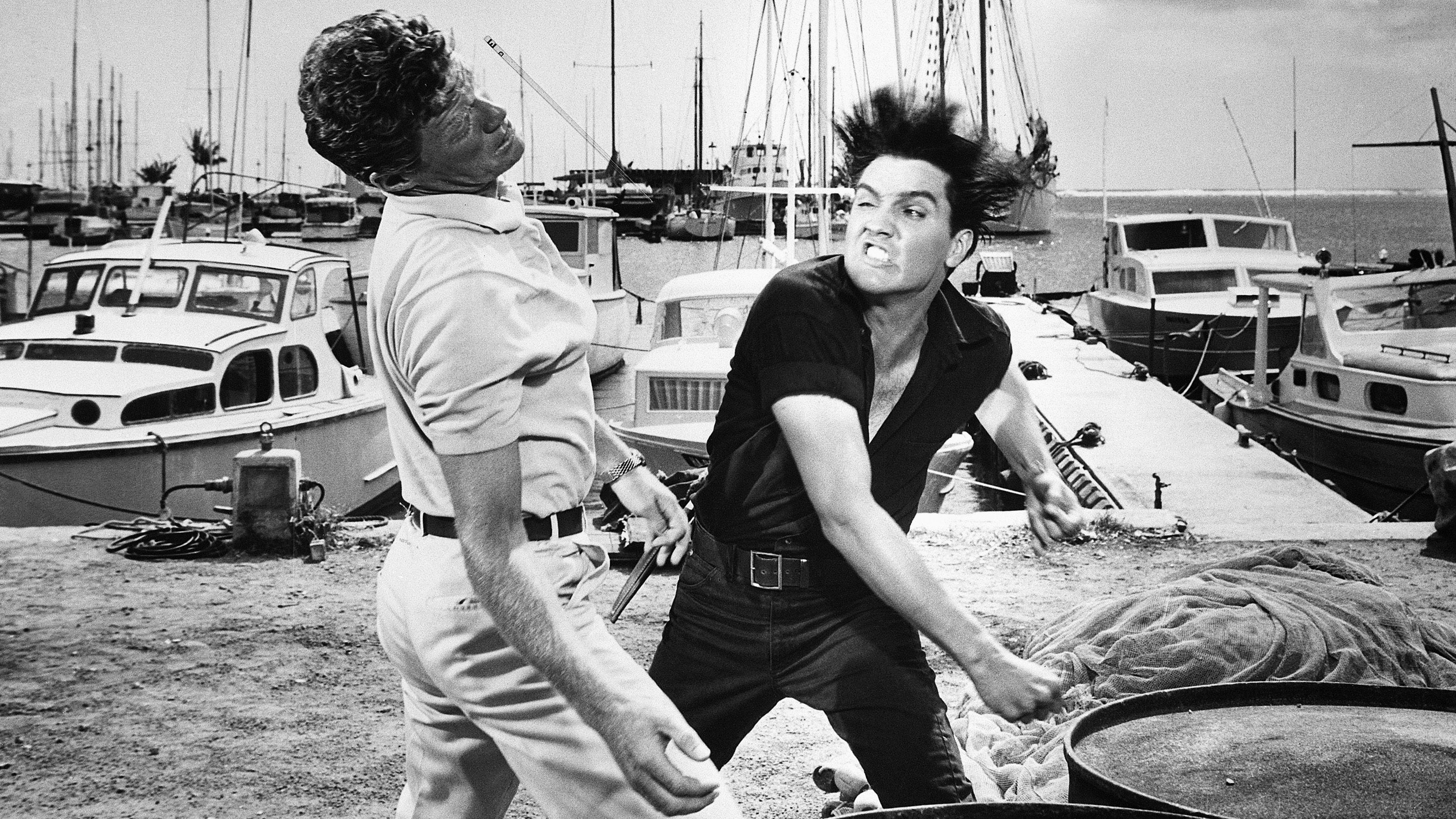 Ever see an Elvis Presley Movie? > General Discussion > AR15.COM