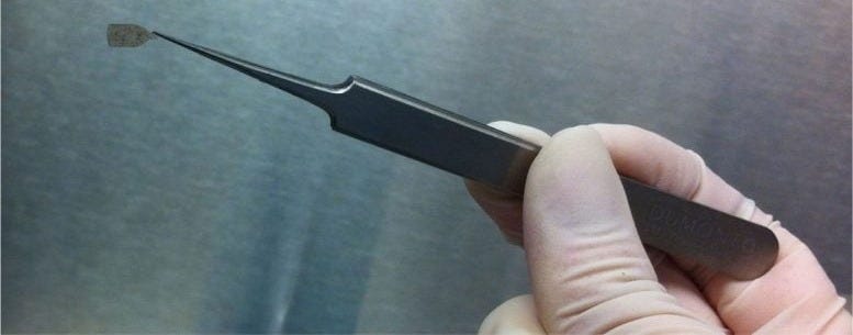 USC Gloved Hand Holding a Precision Surgical Instrument