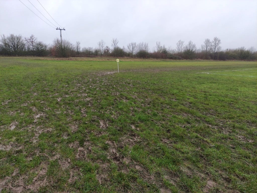 A muddy field after the runners have been by, with footsteps covering a wide lateral area as people look for relatively untrod ground.