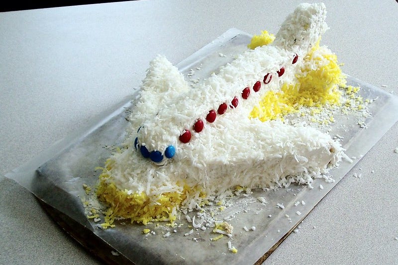 A cake in the shape of an airliner