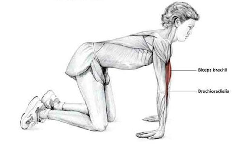 Best 8 Stretching Exercises You Didn&#39;t Know About