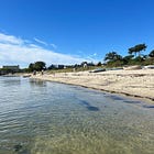📆 Car-Free Day Trip: Vineyard Haven Itinerary for Martha’s Vineyard Visitors (2025)
