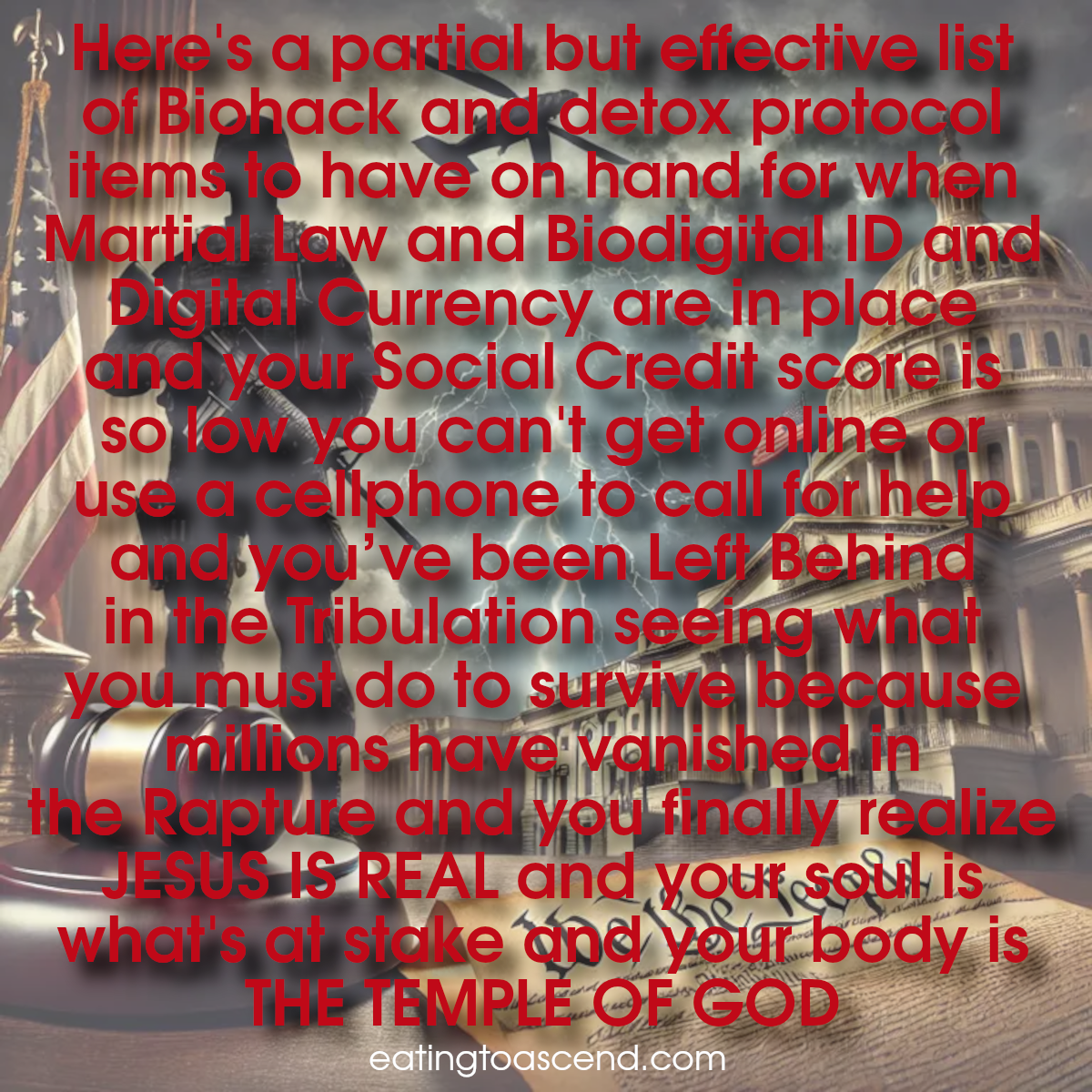 Here is a partial but effective list of Biohack and detox protocol items to have on hand for when the Dioxins from the train derailments and chemical spills and ‘wildfires’ and the Grey Goo bioweapon FOG accomplish their objectives and Biodigital Currency has been implemented, and Martial Law, and your Social Credit score is so low you can’t even get online, and you’ve been Left Behind in Tribulation