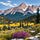 Surviving Montana