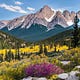 Surviving Montana