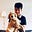 Bowen Chen's avatar