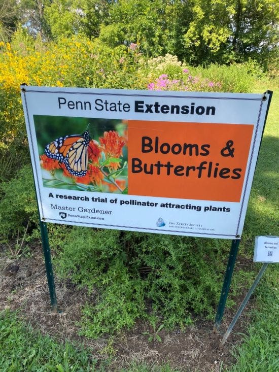 pollinator study