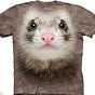 tehwereferret's avatar