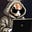BowTiedRabbit's avatar