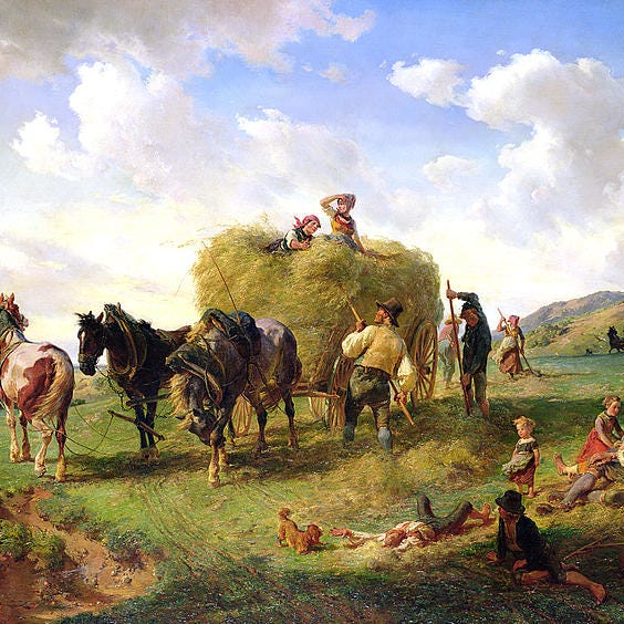 The Steader Manifesto