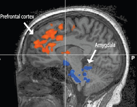 Why Emotional Control Is More Valuable Than Intelligence