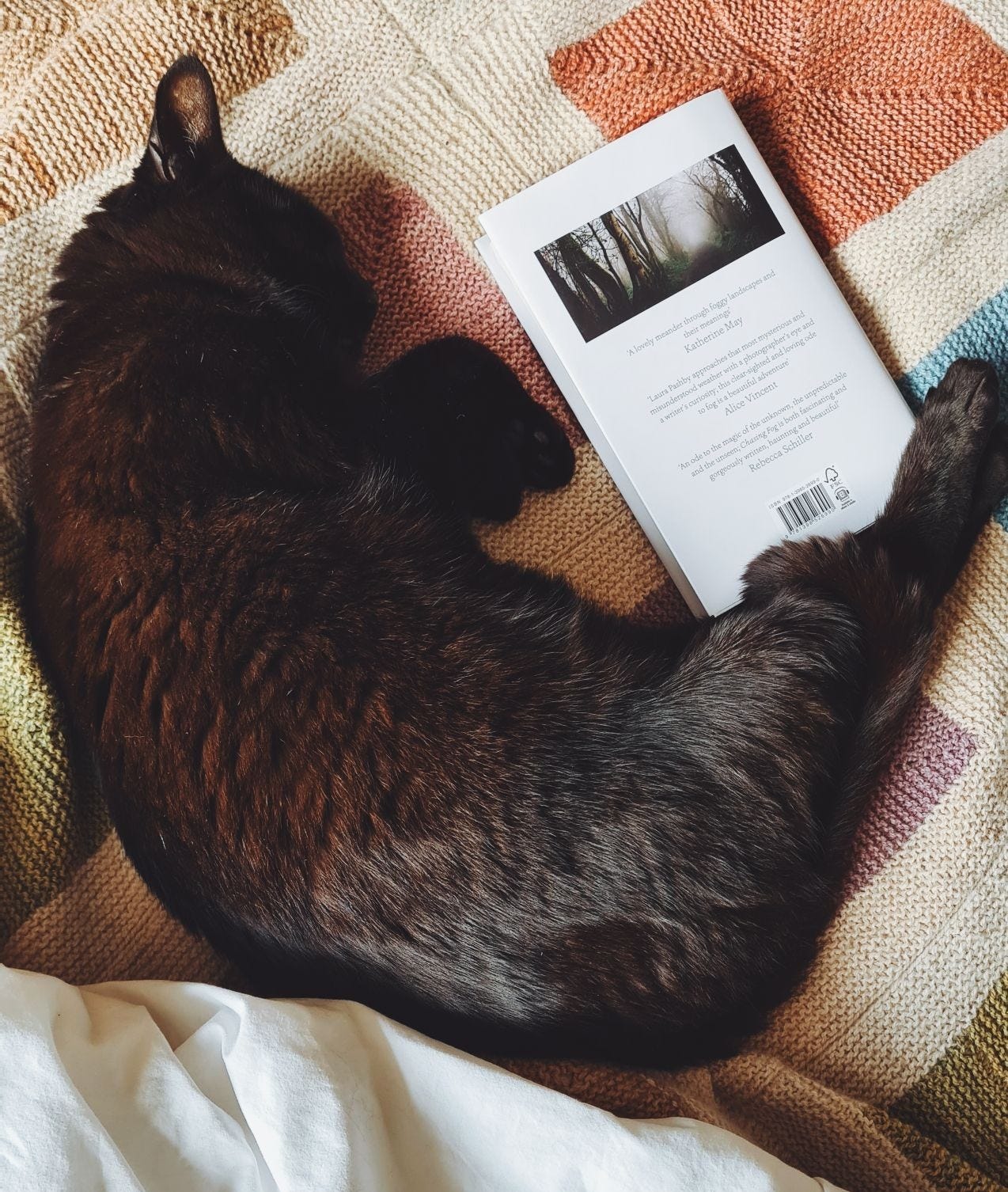 Ebony is sleeping while curled up on her side with all four paws out against a book. Ebony is sleeping while curled up on her side with all four paws out against a book.