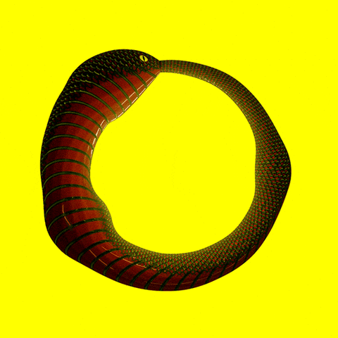 Loop animation