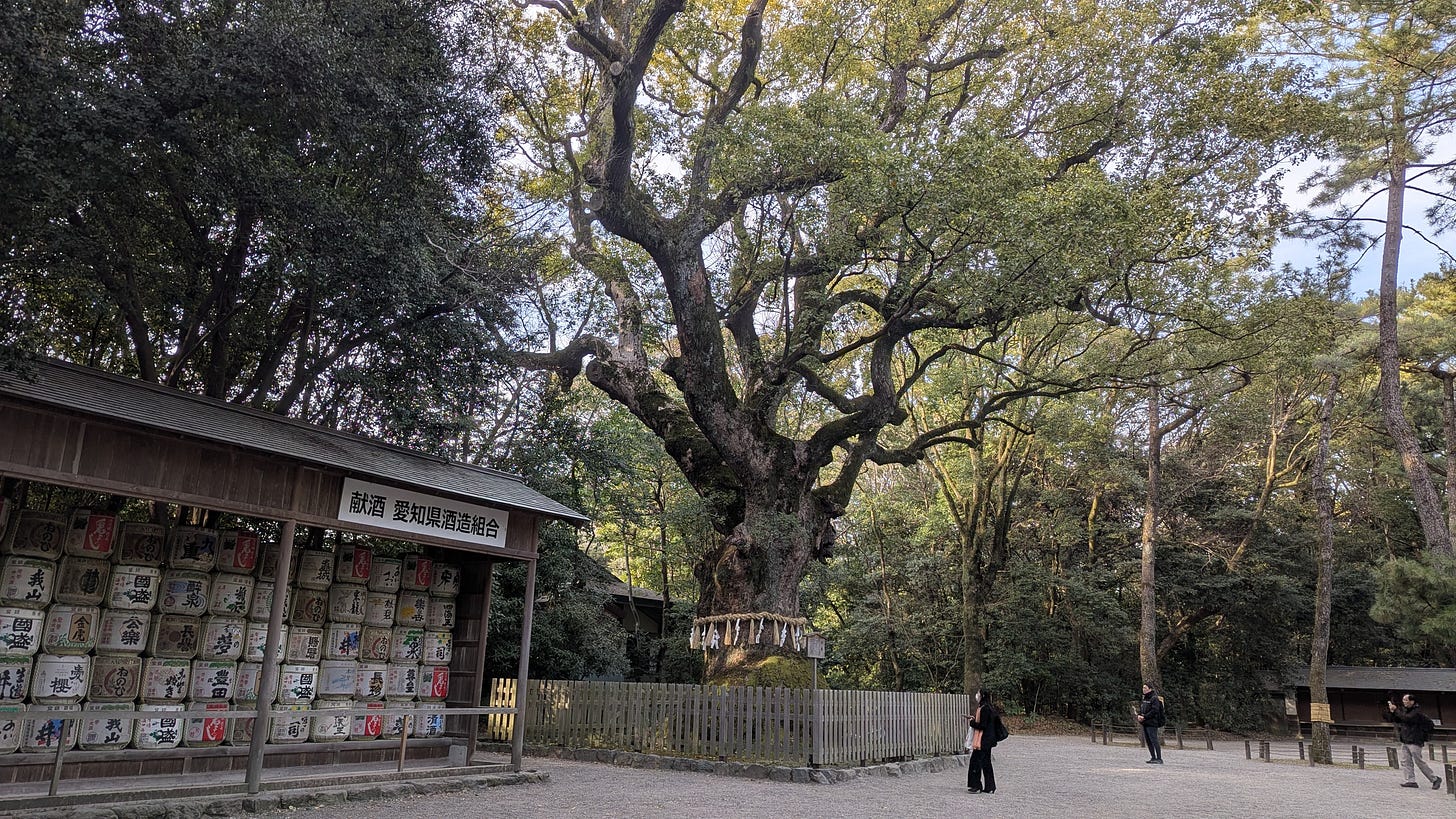 A massive, ancient camphor tree with twisted, moss-covered branches at Atsuta Jingu Shrine in Nagoya, Japan, surrounded by a lush forest.