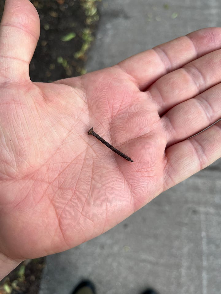 four images of things I've picked up off the ground in my walking. The first three are various screws and naisl. The last is an odd, heavy bit of round metal that appears to be a part from a car.