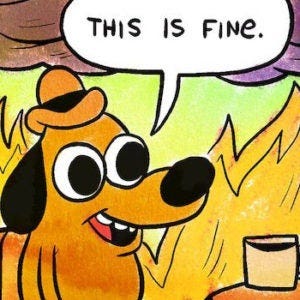 This is fine Meme | Meaning & History | Dictionary.com