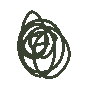 Grovigli Newsletter's avatar